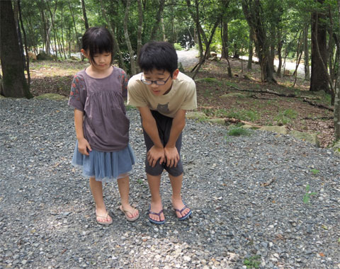 モンテッソーリ教育　小学生のキャンプ